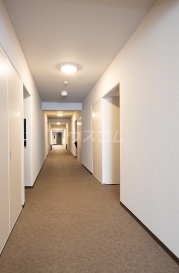 7/19 その他画像