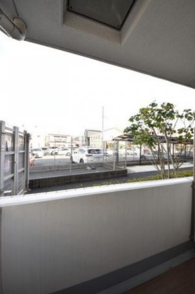 15/19 その他画像