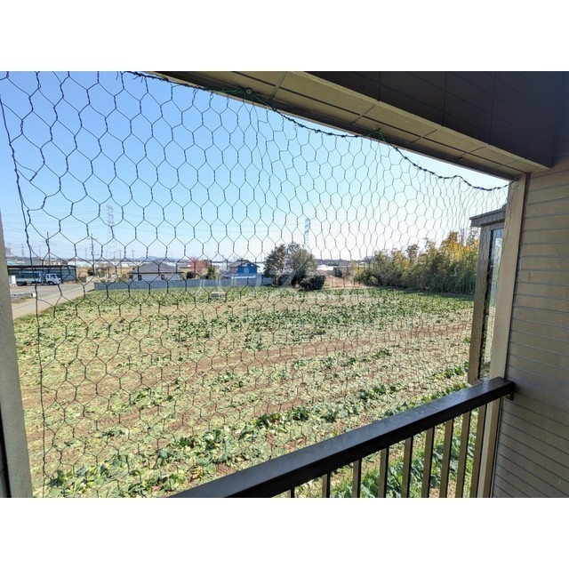 19/23 その他画像