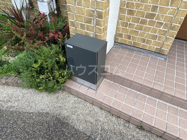 20/30 その他画像