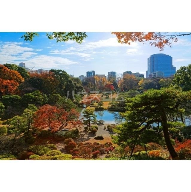 11/22 その他画像