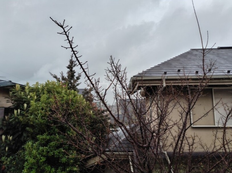 14/28 その他画像