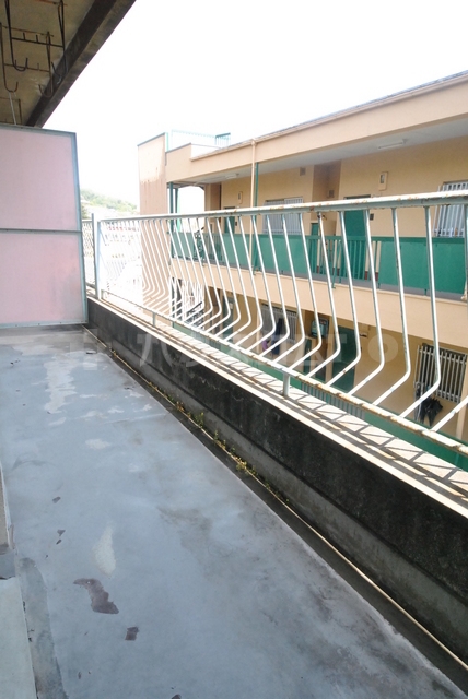 13/16 その他画像