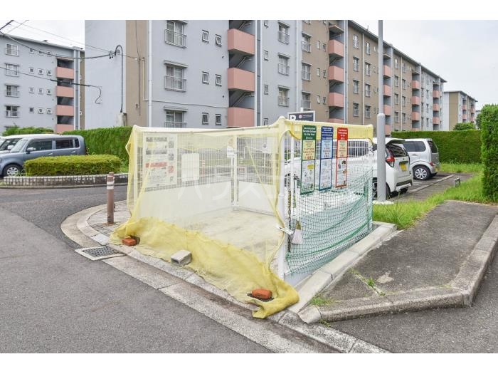 3/13 その他画像