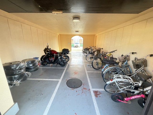 19/30 その他画像