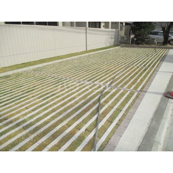 6/11 その他画像