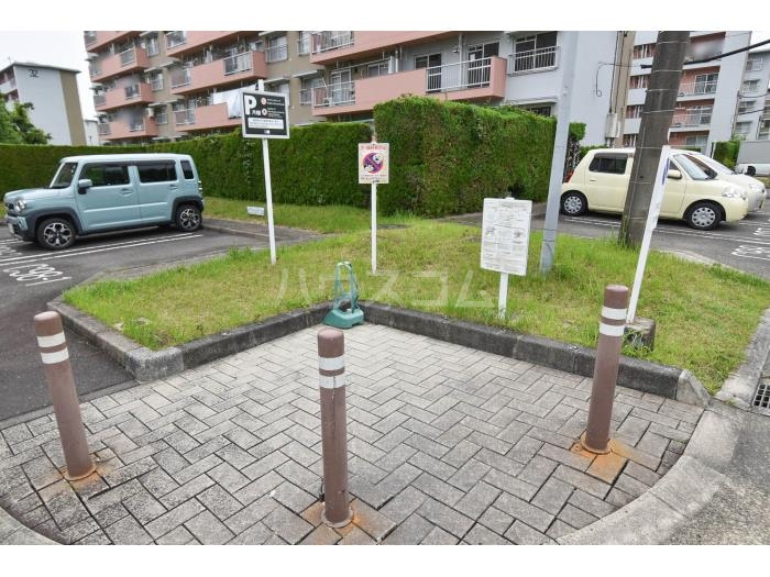 3/13 その他画像