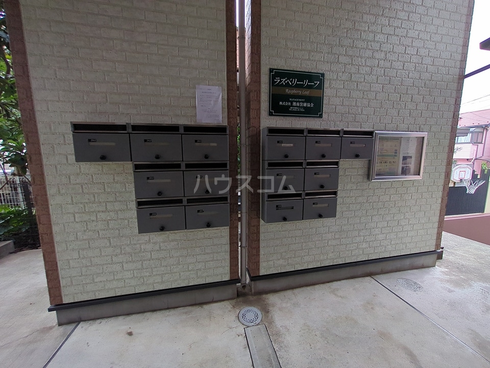 20/30 その他画像