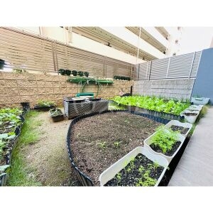 8/18 その他画像