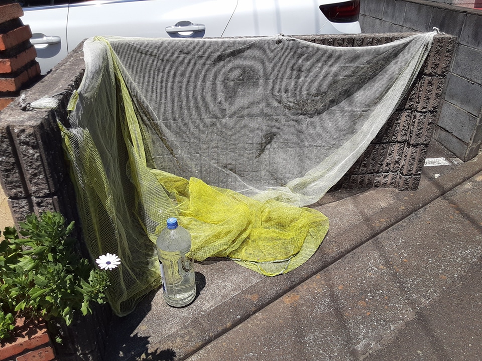 3/11 その他画像