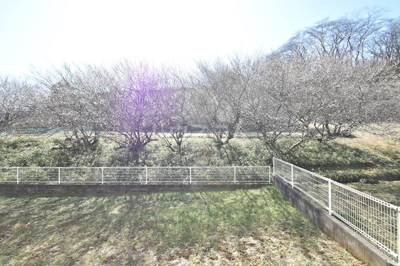 16/29 その他画像