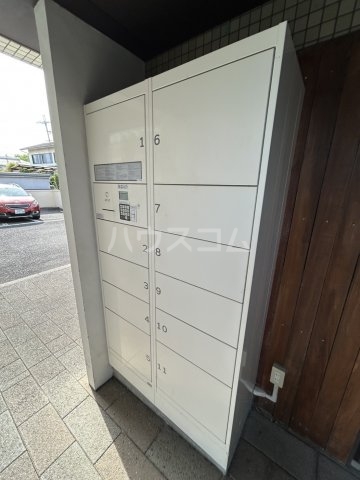 20/30 その他画像