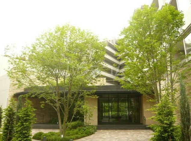 5/16 その他画像