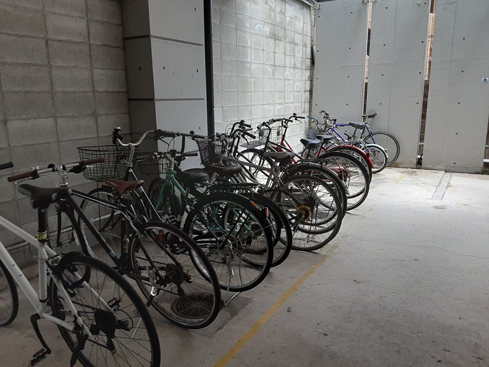 21/29 その他画像