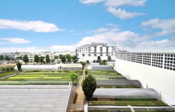 13/22 その他画像