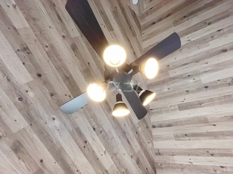 12/26 その他画像