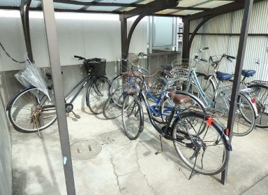 11/18 その他画像