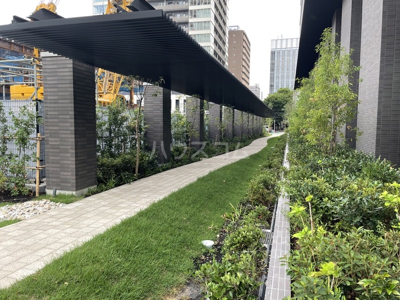 6/15 その他画像