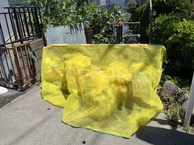 25/28 その他画像