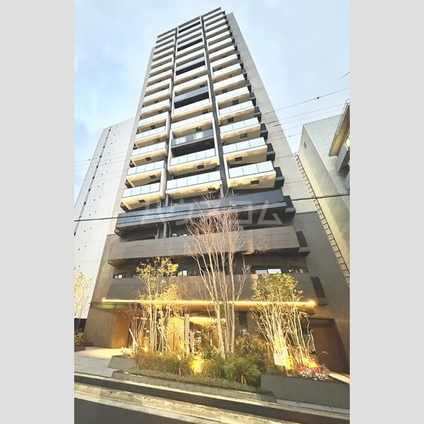 6/11 その他画像