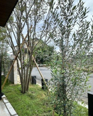 6/16 その他画像