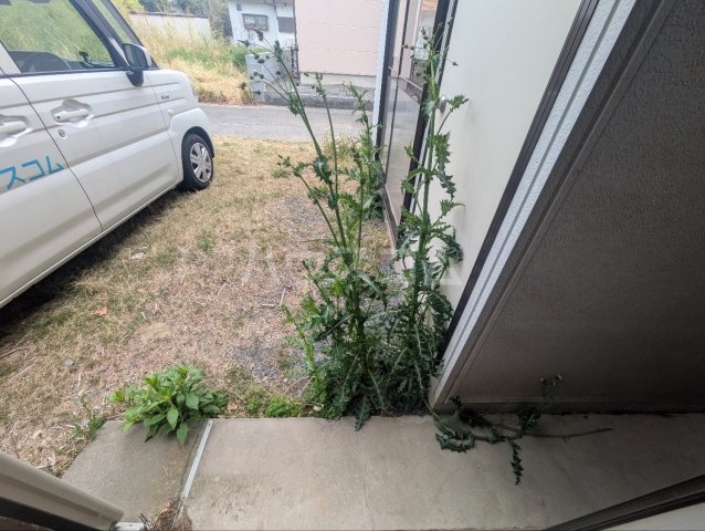 19/30 その他画像