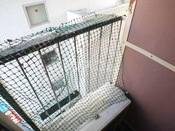 10/16 バルコニー