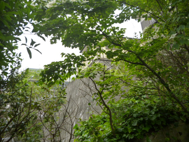 20/29 その他画像