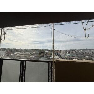 11/18 その他画像