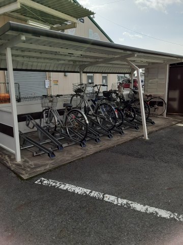 20/30 その他画像