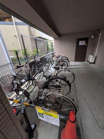 20/30 その他画像