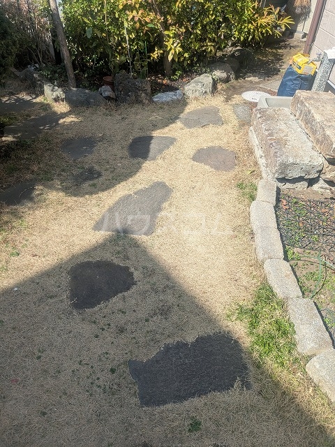 17/30 その他画像