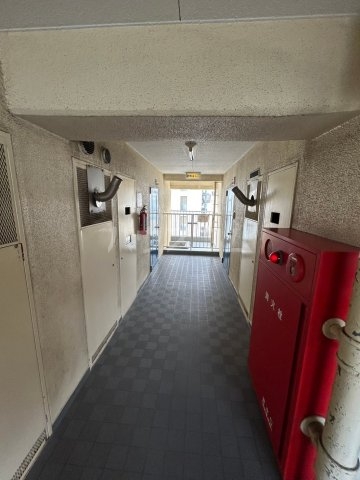 8/19 その他画像