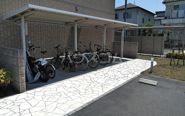 17/29 その他画像