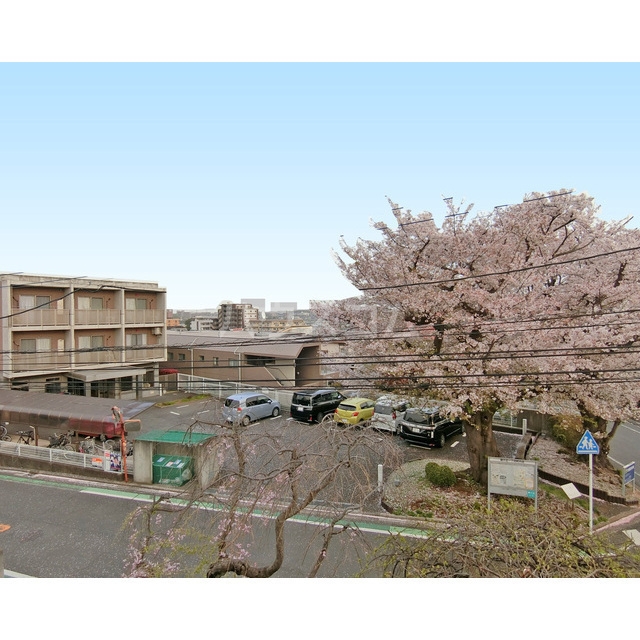 13/24 その他画像