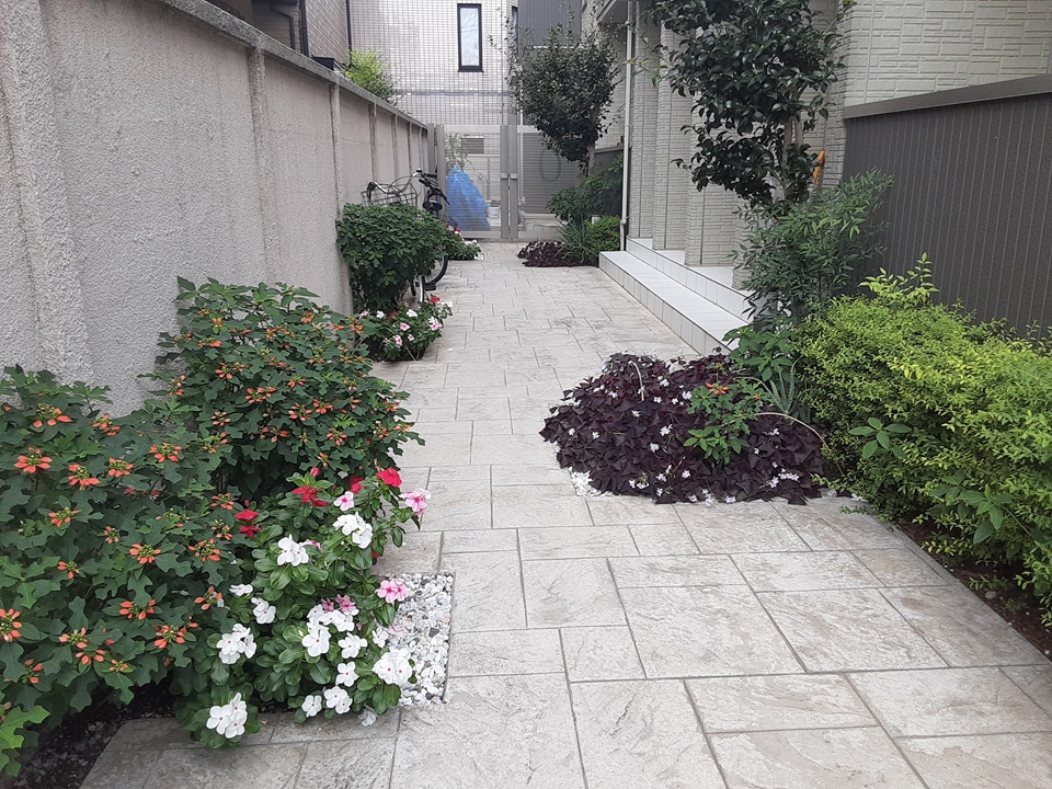 7/16 その他画像