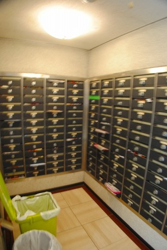 8/19 その他画像