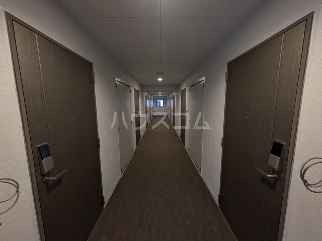 11/25 その他画像