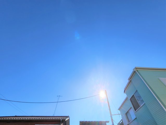 11/25 その他画像