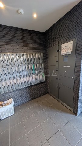 17/24 その他画像