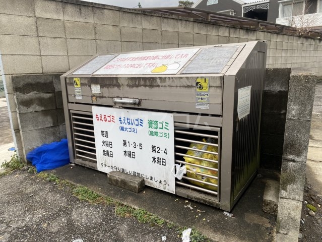 11/24 その他画像