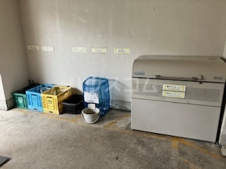 6/16 その他画像