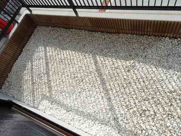 12/19 その他画像