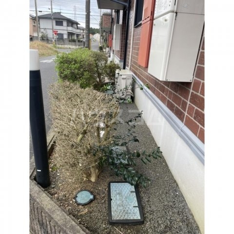 3/14 その他画像