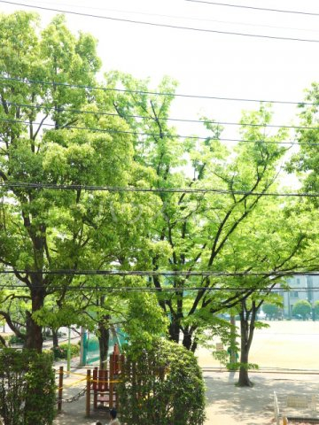 16/30 その他画像