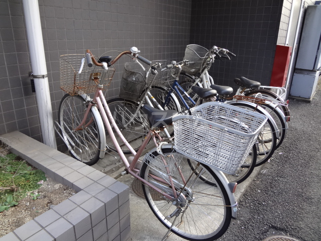 21/30 その他画像