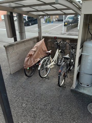 17/23 その他画像