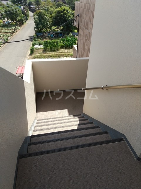 25/30 その他画像