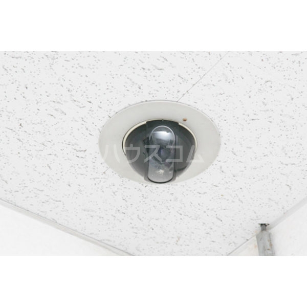 11/25 その他画像