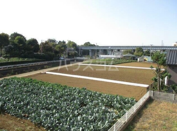 15/17 その他画像